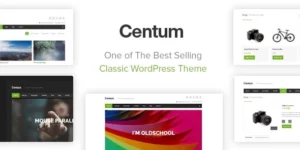 Centum Responsive WordPress Theme 3.3.13破解版主题