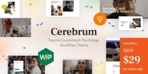 Cerebrum Trauma Counseling Psychology WordPress Theme 1.1破解版主题
