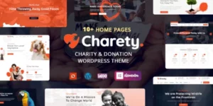 Charety Charity Donation WordPress Theme 1.0.4破解版主题