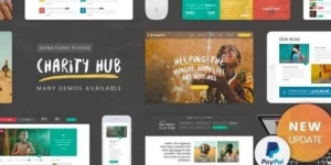 Charity Foundation Charity Hub WP Theme 2.8破解版主题