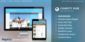 Charity Hub Nonprofit / Fundraising WordPress 1.4.6破解版主题