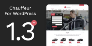 Chauffeur Limousine