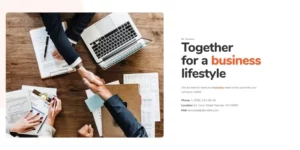 Checkiz Business Marketing WordPress Elementor Theme WordPress Theme 1.0.0破解版主题