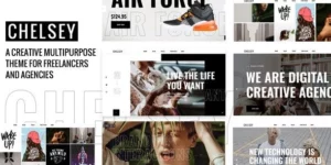 Chelsey Portfolio Theme for Freelancers and Agencies 1.0破解版主题