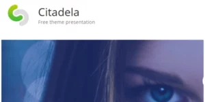 Citadela Theme 5.9.3破解版主题