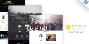 Citrus One Page WordPress Theme 3.5破解版主题