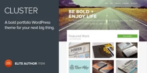 Cluster A Bold Portfolio WordPress Theme 2.0.4破解版主题