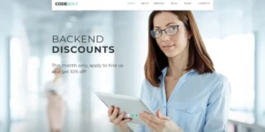 CodeBolt Software Company WordPress Theme 1.0.0破解版主题