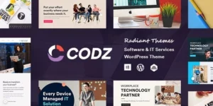 Codz Software IT Services Theme 1.0.4破解版主题