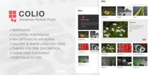 Colio Responsive Portfolio WordPress Plugin 2.3.4破解版插件