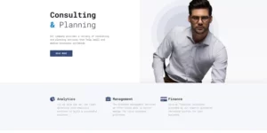 Commus Business Multipurpose Minimal WordPress Elementor Theme WordPress Theme 1.0.0破解版主题