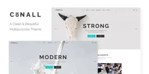 Conall Clean Multipurpose Theme 1.8破解版主题