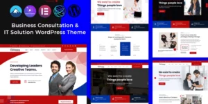 Conexco Business Consultation and IT WordPress Theme 1.0.0破解版主题