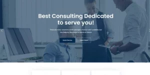 Consalt Consulting Responsive WordPress Theme 1.0.0破解版主题