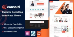 Consalti Consultancy Business WordPress Theme 1.0.2破解版主题
