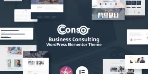 Consor Business Consulting WordPress Elementor Theme WordPress Theme 1.0.0破解版主题