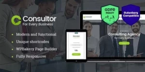 Consultor | A Business Financial Advisor WordPress Theme 1.2.4破解版主题