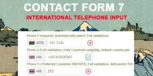 Contact Form 7 International Phone Input 1.7破解版插件