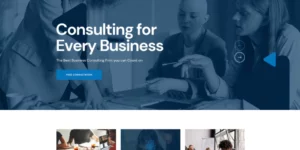 Conult Consulting Business WordPress Themes 1.1.2破解版主题