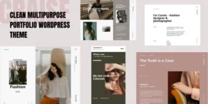 Craise Multi-Purpose WordPress Portfolio Theme 1.0.8破解版主题