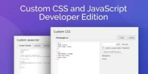Custom CSS and JavaScript Developer Edition 1.0.14破解版插件