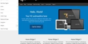 CyberChimps CyberChimps Pro Features WordPress Plugin 1.2破解版插件