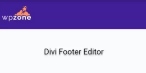 DIVI FOOTER EDITOR Show License 2.1.7破解版插件