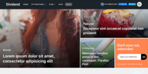 OboxThemes Capital WordPress Theme 1.3.6破解版主题