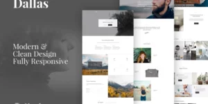Dallas Minimal Portfolio Business WordPress Theme 1.4.2破解版主题