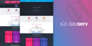 Dataserv Professional Hosting WordPress Theme 1.0.7破解版主题