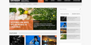 OboxThemes Photogenic WordPress Theme 1.1.4破解版主题