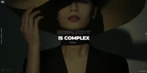 Deppex Showcase Portfolio WordPress Theme 1.0破解版主题