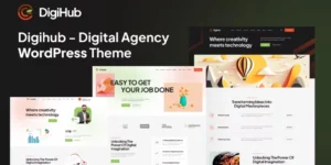 Digihub WordPress für digitale Agenturen 1.0破解版主题