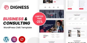 Digness Consulting Business WordPress Theme 1.0.0破解版主题