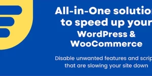 Disable Bloat for WordPress WooCommerce PRO 3.4.4破解版插件