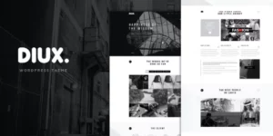 Diux WordPress Theme 1.3破解版主题
