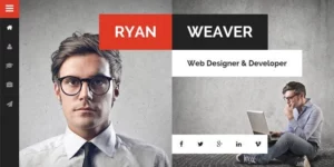 Divergent Personal Vcard Resume Theme 3.0.0破解版主题