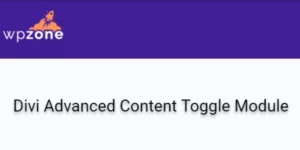 Divi Advanced Content Toggle Module 1.0.1破解版插件