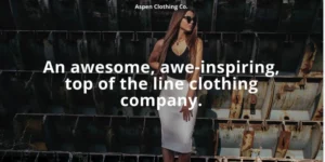 Divi Aspen Clothing Co. – AGS Divi Child Theme 1.0.1破解版主题