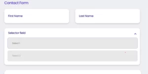 Divi Form Builder Best Divi Contact Form Builder Plugin 2.3.1破解版插件