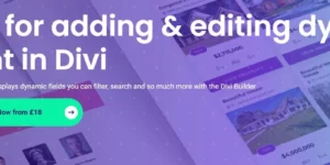 Divi Machine 6.0破解版插件