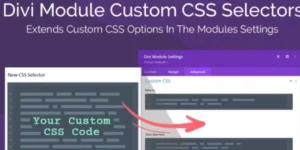 Divi Module Custom CSS Selectors 1.0.3破解版插件