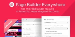 Divi Page Builder Everywhere 3.1.13破解版插件