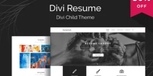 Divi Resume 1.0.2破解版主题