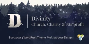 Divinity 1.3.5破解版主题