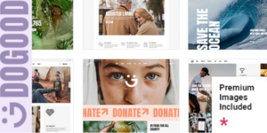 DoGood Charity Nonprofit Theme 1.0破解版主题