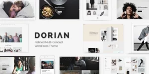 Dorian Refined Multi-Concept WordPress Theme 2.0破解版主题