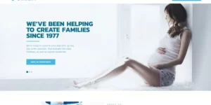 Dynasty Reproduction Clinic Responsive WordPress Theme 1.0.0破解版主题