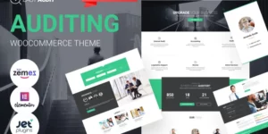 EasyAudit Auditing WordPress Theme 1.0.1破解版主题