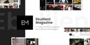 Ebullient Magazine News Theme 1.4破解版主题